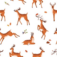 Poster - cute deer pattern. seamless background with wild baby animal. repeating print with spotted reindeer.