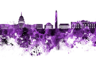 Wall Mural - Washington skyline in watercolor