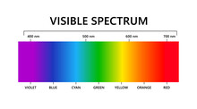 Visible Light Spectrum. Electromagnetic Visible Color Spectrum For Human Eye. Vector Gradient Diagram With Wavelength And Colors. Educational Illustration On White Background.