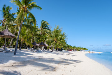 Tropical beach with palm trees and white sand blue ocean and beach beds with umbrellas, sun chairs, and parasols under a palm tree at a tropical beach. Mauritius Le Morne beach