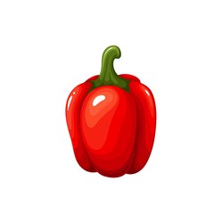 Canvas Print - Whole red sweet pepper or bell pepper vegetable vector illustration.