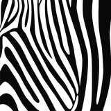 Fototapeta Konie - Zebra Motifs Pattern. Vector Illustration