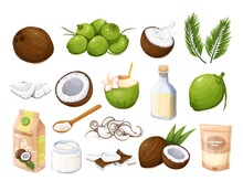 Whole Coconut, Half With Milk Splash And Pieces Fruit, Green Palm Leaf, Coconut Oil In Glass Bottle. Copra. Oil On Wooden Spoon, Pile Of Young Green Coconuts And Ets. Vector Illustration.