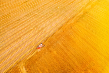 Wall Mural - Aerial View Combine Harvester Working In Field. Harvesting Of Wheat In Summer Season. Agricultural Machines Collecting Wheat Seeds.