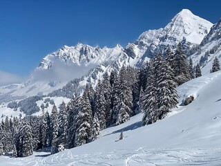 Wall Mural - Fairytale alpine winter atmosphere the peaks of the Alpstein mountain range and in the Appenzell massif, Nesslau (Obertoggenburg region) - Canton of St. Gallen, Switzerland (Schweiz)