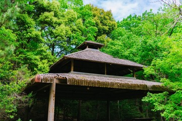 Wall Mural - wooden house