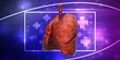 © deepagopi2011 - Healthy Human Lungs 3d illustration
