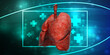 © deepagopi2011 - Healthy Human Lungs 3d illustration