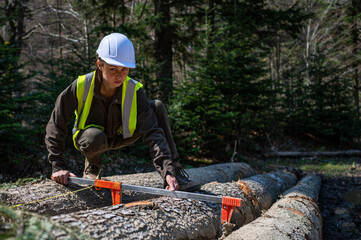 Wall Mural - Pretty woman working as a forester.