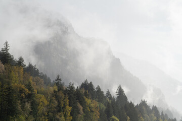 Wall Mural - Fog in the hills of the Cascade Range