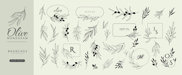 set of olive oil monogram, floral branch and frames. hand drawn wedding logo herb, with elegant leav
