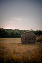 Sticker - Beautiful view of hay bales in a field surrounded by trees at sunset