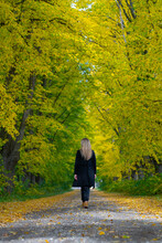 Vertical Back View Of A Female Walking In A Green Autumn Forest