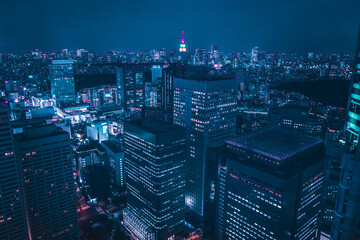 Poster - Aerial shot of the night illuminated cityscape with skyscrapers and loud streets