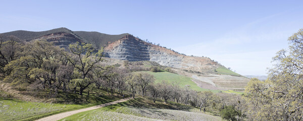 Wall Mural - Panoramic shot of a landscape with trees and mountains under the blue sky