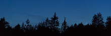 Panorama Of Rescent Moon And Planet Venus Over Silhouette Of Black Trees In The Forest