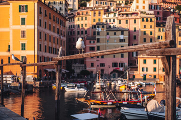 Poster - CAMOGLI, ITALY-JULY 2021: The colorful fishermens village on the coastline of Liguria