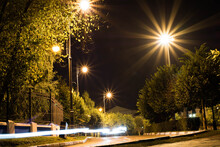 Evening Image With Electric Lampshades And Green Trees On The Sidewalks