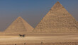 Giza, Egypt -  November 14, 2021: Camels by the great ancient Pyramids of Giza, Egypt