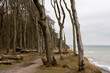 Ostsee Gespensterwald Niendorf Rostock Warnemünde Strand Bäume Meer Salzwasser Küste Brandung Steilküste Wolken Gezeiten Himmel Wolken Stralsund Sonnenaufgang Sonnenuntergang Boot