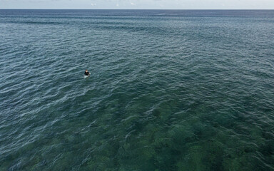 Wall Mural - Aerial top view of a male surfer swimming in a tranquil water