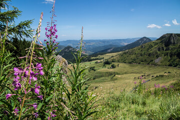 Poster - Serene landscape of a meadow on Mont Mezenc
Summit in France