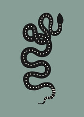 Wall Mural - Set of hand drawn snake in boho, aztec style. Modern, trendy colors, minimalism art.