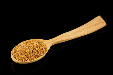 Wall Mural - Millet in a wooden spoon on a black background