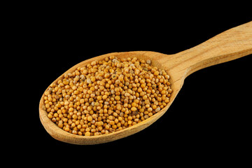 Canvas Print - Millet in a wooden spoon on a black background