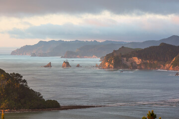 Canvas Print - New Zealand coast