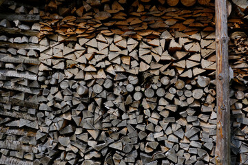 Canvas Print - Closeup shot of piles of cut woods - perfect for background