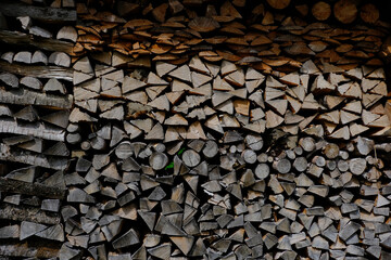 Canvas Print - Closeup shot of piles of cut woods - perfect for background