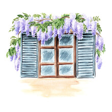 Open Window With A Climbing Wisteria Blossom Plant. Hand  Drawn Watercolor  Illustration Isolated On White Background