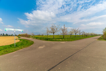 Wall Mural - Bike path at the Markkleeberger lake near Leipzig in early spring