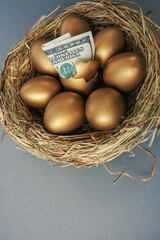 Wall Mural - golden eggs in a nest with dollars banknotes on grey table, concept of enrichment and wealth	
