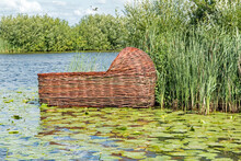 Basket Of Moses, Among The Reeds And Water Lillies In The Canals At Kinderdijk, Netherlands.