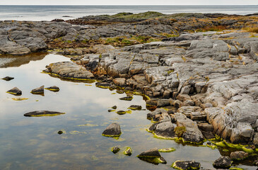 Wall Mural - Norwegian seascape, rocky coast with dramatic skies, the coast is partially covered with grass, shallow at low tide, sheer cliffs, 