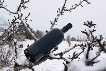 Poster - Wine in the snow