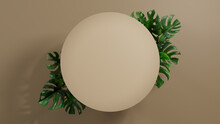 Circle Botanical Frame With Monstera Plant Border. Beige, Natural Design For Product Display.