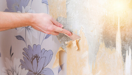 removing old wallpaper with a spatula and a sprayer with water. a man removes old wallpaper in a roo
