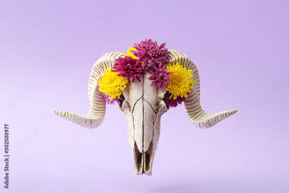 Skull of sheep with flowers on purple background