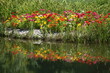 canvas print picture - Blumen an einem Teichufer
