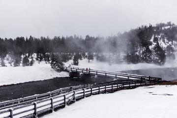 Wall Mural - Yellowstone National Park in Winter