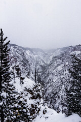 Wall Mural - Yellowstone National Park in Winter