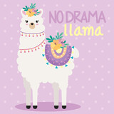 Fototapeta Pokój dzieciecy - llama no drama lettering