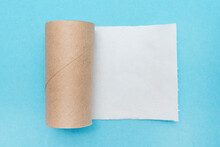 Empty Toilet Paper Roll. The Last Sheet Of Toilet Paper. Blue Background. Emergency Situation. Flat Lay. Top View.