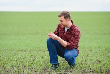 Handsome farmer. Young man walking in green field. Spring agriculture.