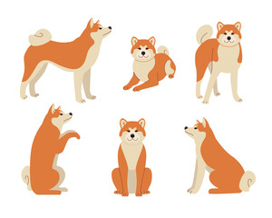 Wall Mural - Cute comic shiba inu in different poses vector illustrations set. Dog cartoon character standing, sitting, symbol of 2018 isolated on white background. Pets or domestic animals, New Year concept
