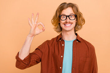 Sticker - Portrait of attractive cheerful funky red-haired guy showing ok-sign trust perfect ad isolated over beige pastel color background