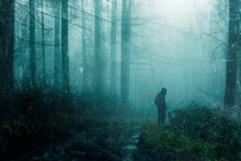 A Mysterious Hiker, Silhouetted On A Gloomy Path. In A Spooky Foggy, Winters Forest. With A Grunge, Blurred Edit